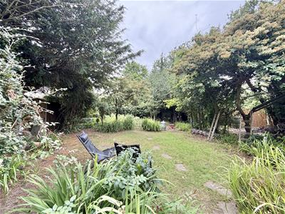Picture 17